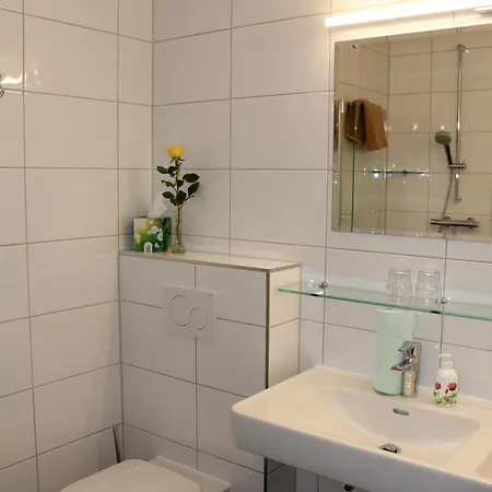 Chesa Platina 3* Schruns