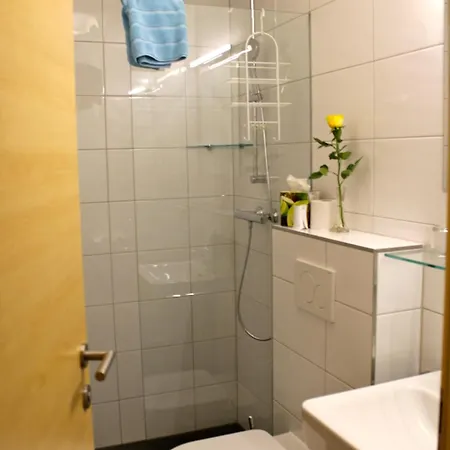 Chesa Platina Bed & Breakfast 3*