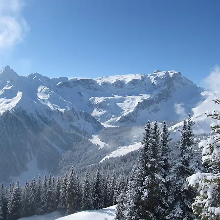 Bed & Breakfast Chesa Platina 3*