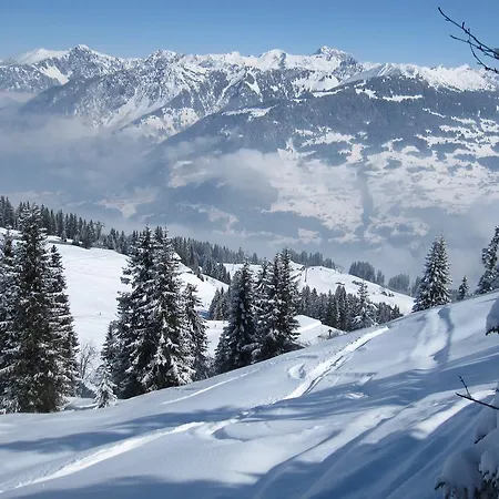 Chesa Platina Bed & Breakfast Schruns