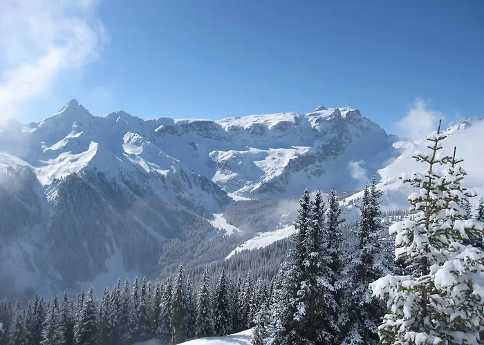 Bed & Breakfast Chesa Platina 3*