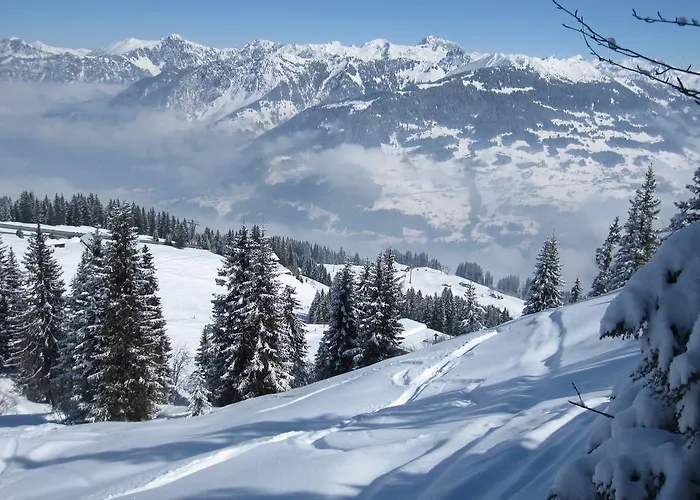 Chesa Platina Bed & Breakfast Schruns